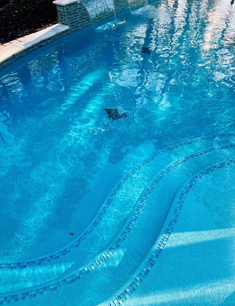 This close-up captures the serene clarity of a beautifully designed pool, highlighting gently curved entry steps accented with a mosaic tile border. The shimmering blue water reflects sunlight and movement, while dual waterfall spouts add a dynamic, tranquil touch to the tile-lined pool wall above