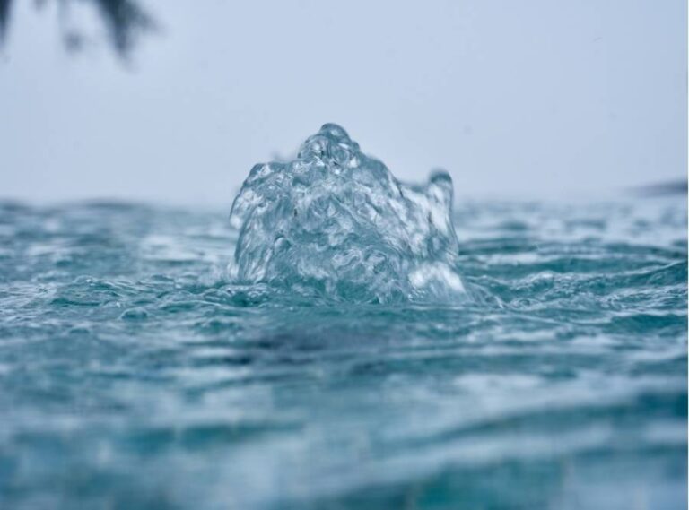 Winterizing Pools in South Carolina’s Mild Climate: What You Still Need to Do